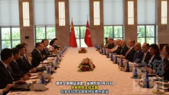 王毅同土耳其外长会谈：支持两国企业使用本币进行贸易结算