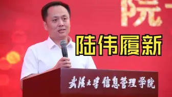 中央批准，陆伟履新