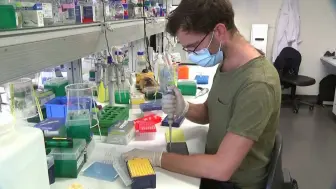 澳大利亚研究称新冠病毒能在光滑表面存活28天，手机屏幕有危险