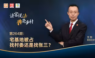 法官说法丨宅基地被占找村委还是找张三?