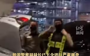 中国女子在泰国订到警车接机？泰国旅警：下令严肃调查！
