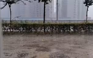 连日高温后成都终降雨 冰雹、彩虹也跟着来了