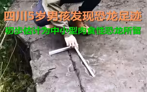 四川5岁男孩发现恐龙足迹 初步估计为中小型肉食性恐龙所留