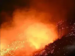 美国加州燃起新山火：北部山区已发布疏散令，数百英亩灌木丛被烧毁