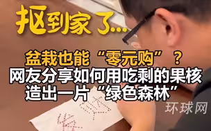 盆栽也能“零元购”？网友分享如何用吃剩的果核造出一片“绿色森林”