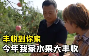 聚焦三农丨丰收到你家：今年我家水果大丰收