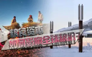 印度叫停粮食出口，欧美四大巨头慌了，抬高全球粮价的希望要落空