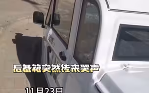 车辆后备箱传出小孩哭声，网友无奈报警处理，竟因小孩奶奶买菜将其锁后备箱#社会百态