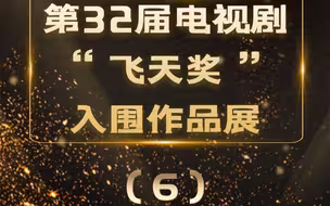 第32届电视剧“飞天奖”入围作品展（六）
