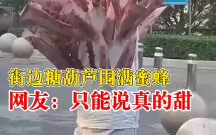 街边糖葫芦围满蜜蜂，网友：只能说真的甜
