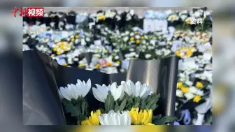 送别医者李晟：白菊聚花海 仁心励后生