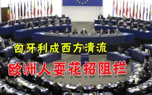 匈牙利还能为中国力阻西方吗？欧洲连出盘外招，谁亲华就打压谁