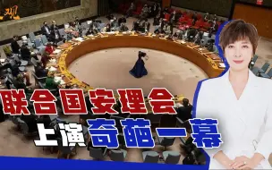 安理会罕见一幕，俄方提出草案，十三国全部弃权，耐人寻味