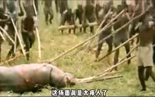 狮子见到这帮人撒腿就跑。
