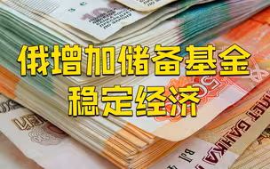 俄罗斯3000亿美元外汇储备被冻结