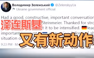 泽连斯基邀德国总统施泰因迈尔访乌