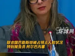 “美国不仅是旁观者，而是以色列的帮凶”联合国官员：建议暂停以色列会员国资格