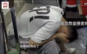 爱犬去世伤心之余又添酒驾处罚 司机：我后悔了