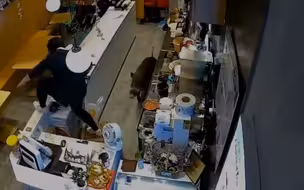 南京一商场奶茶店窜进野猪吓坏店员 野猪随后这一动作惊呆网友
