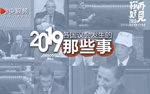 求婚、带娃、吹口琴！盘点2019年各国议会发生的那些事