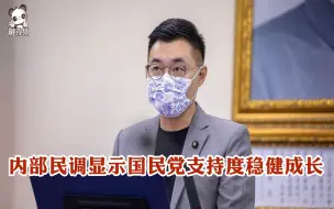 内部民调显示国民党支持度稳健成长