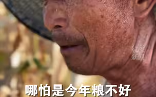 烈日下四川爷爷采玉米背影让人动容，请珍惜每一颗粮食！