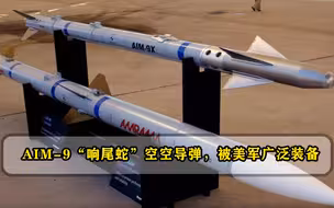 AIM-9“响尾蛇”空空导弹，被美军广泛装备，开启了空空作战体系