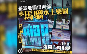 猴群包场消暑！香港某俱乐部变猴子水上乐园