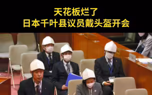 天花板烂了，日本千叶县议员戴头盔开会