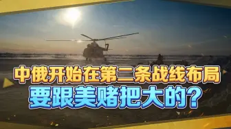 正面几乎被西方包围，中俄开始在第二条战线布局，要跟美赌把大的