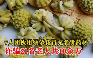 团伙用绿萝花冒充名贵药材骗老人：诈骗21名老人共10余万