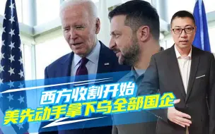 西方收割开始，美先动手、拿下乌全部国企，乌政府要彻底沦为傀儡