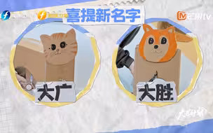 徐志胜、何广智：在用一种很新的方式拍合照