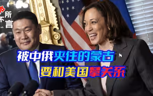身在中俄大后方，硬要跟美国攀关系，蒙古国到底是亲华，还是反华
