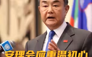 王毅：进了安理会就不能只考虑一己之私 重塑五常团结是当务之急