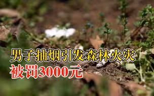 男子抽烟引发森林火灾被罚3000元：边锄草边抽烟，过火面积26.5亩