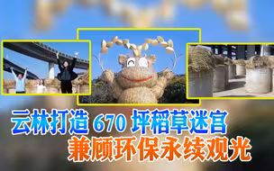 云林打造670坪稻草迷宫 兼顾环保永续观光