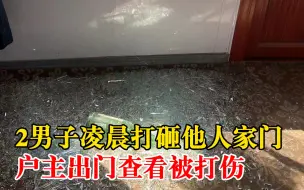 2男子凌晨打砸他人家门打伤户主，派出所：移交刑警，已控制打人者