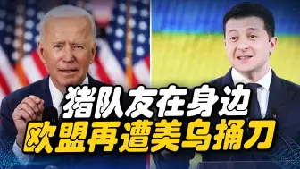 对外无力，对内刀刀暴击，美国、乌克兰让欧盟见识何为真正猪队友