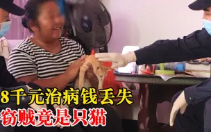 8千元治病钱丢失窃贼竟是只猫，民警边教育边趁机撸猫