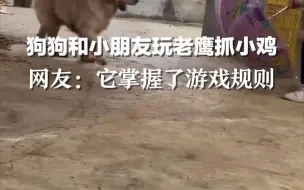 狗狗和小朋友玩老鹰抓小鸡，网友：它竟然掌握了游戏规则