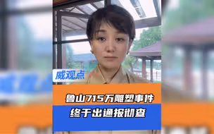 河南鲁山通报715万建雕塑，该起事件经了骂记者、威胁博主下视频