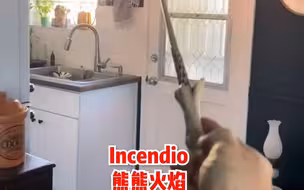外国小哥展示来自中国的魔杖，网友：哈利波特都要从中国进货