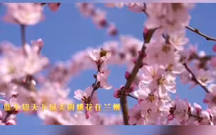 《幸福安宁》 #中国兰州网·音悦