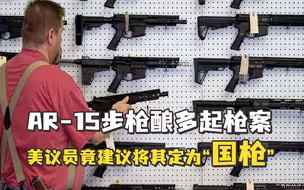 AR-15步枪酿多起恶劣枪案，美议员竟建议将其定为“国枪”