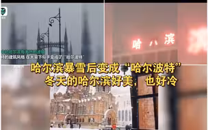 哈尔滨暴雪：建筑风格成“哈尔波特” 字牌被冻成“哈八滨”