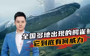 全国多地为何频现鳄雀鳝，它究竟有何威力，值得如此大动干戈