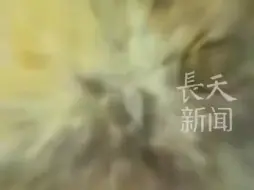 海昏侯考古又有重大发现！
