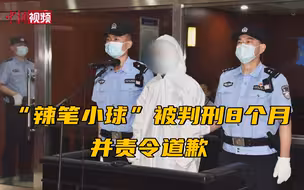“辣笔小球”被判刑8个月并责令道歉