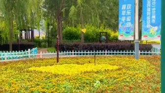 四季有绿，三季有花，相对20年前的兰州，现如今南北两山十二大景区各具特色